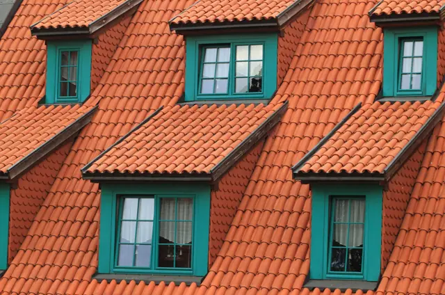 Black Streaks on Your Roof: What They Are and How to Remove Them Safely
