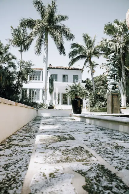 Palm-lined walkway — Spraydaddys concrete