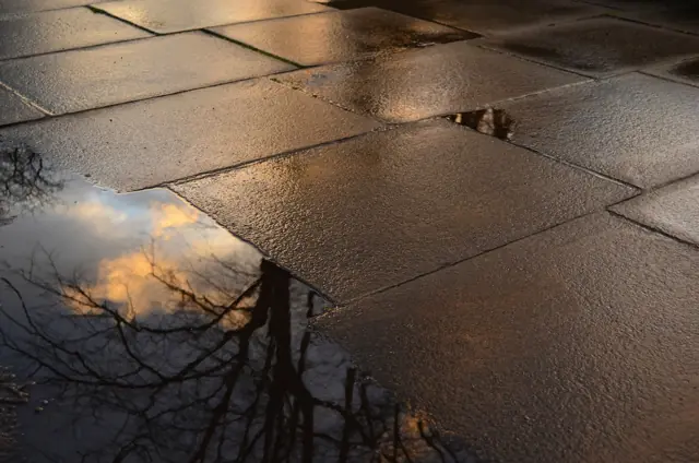 Freshly cleaned pavers — Spraydaddys concrete